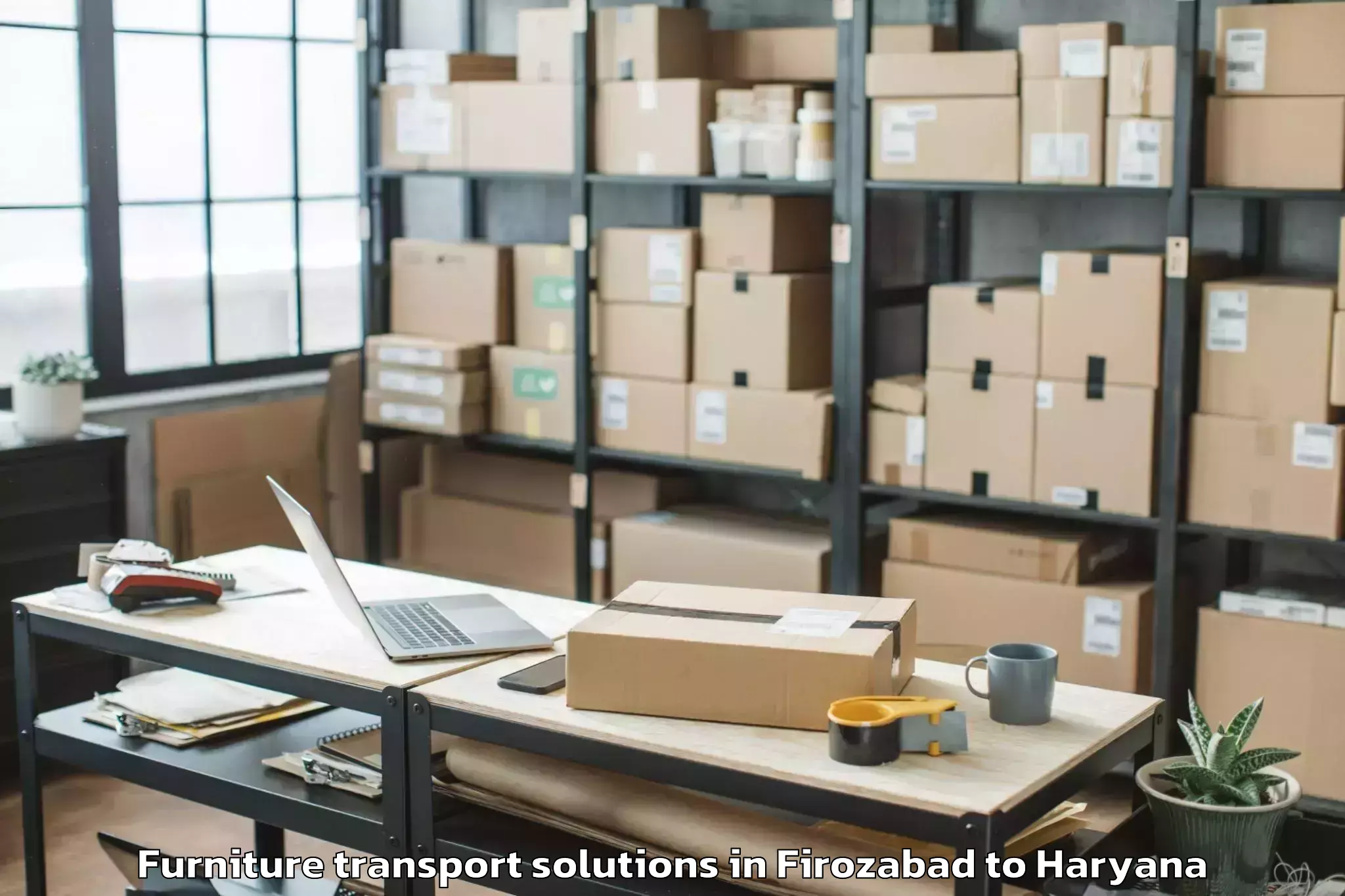 Discover Firozabad to Dt Mega Mall Furniture Transport Solutions